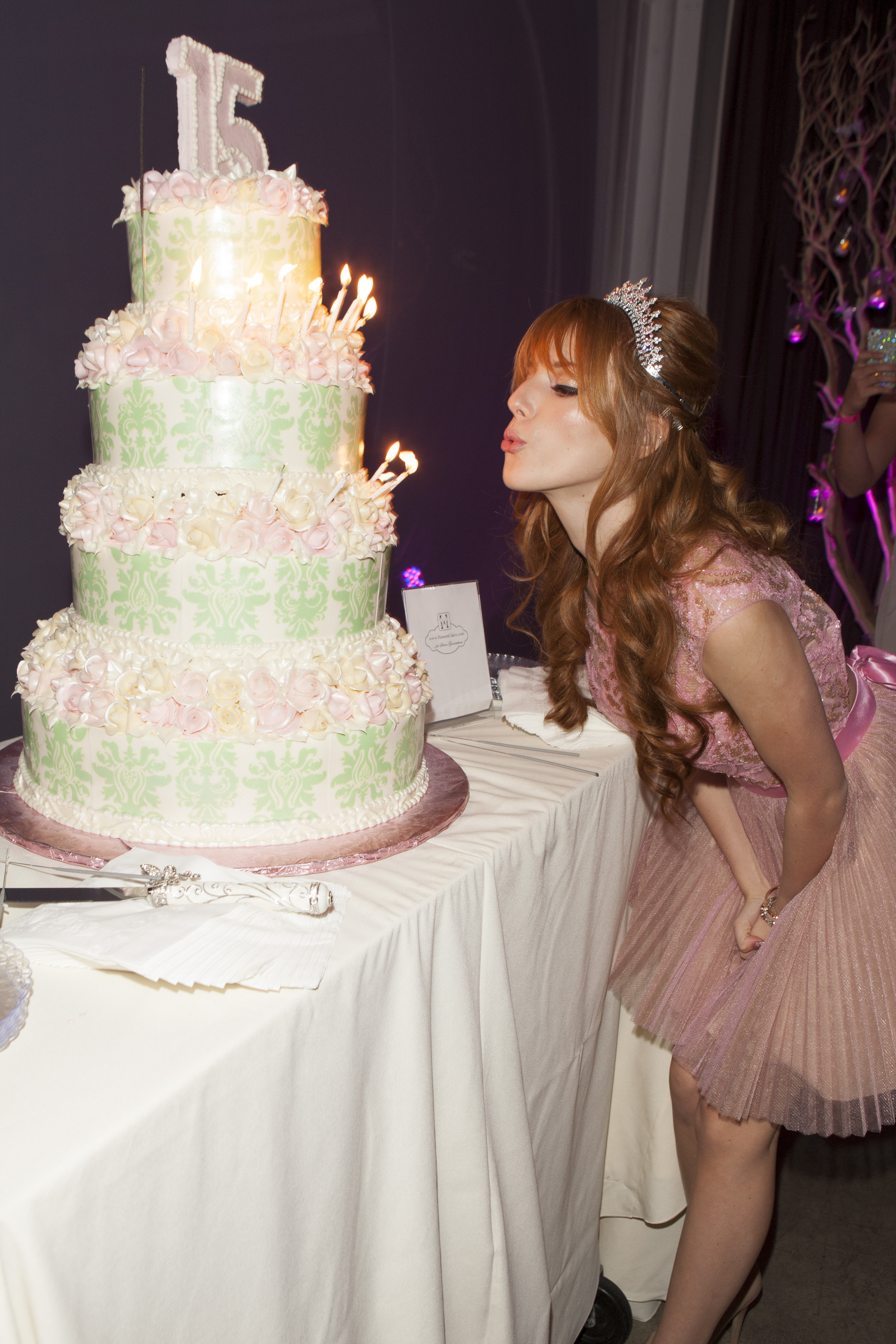 8 Amazing Cakes Your Favorite Stars Had For Their 15th Birthdays